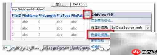 asp.net gridview操作数据库