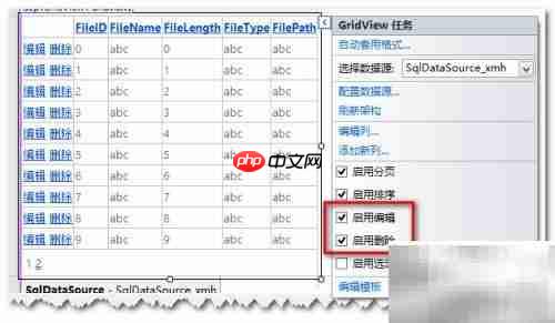 ASP.NET GridView操作数据库