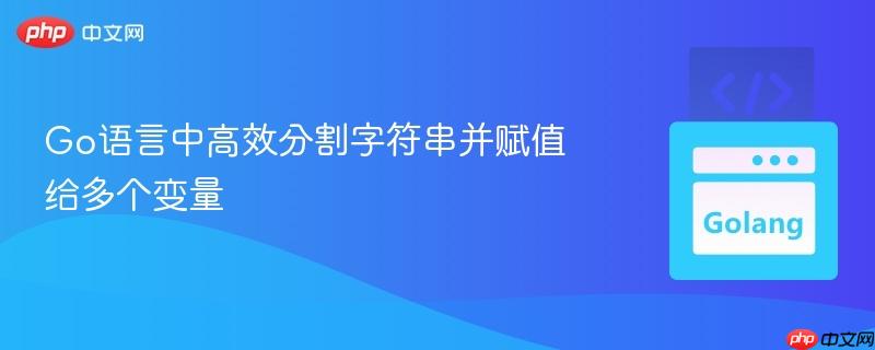 Go语言中高效分割字符串并赋值给多个变量