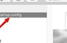 Startup Config配置指南
