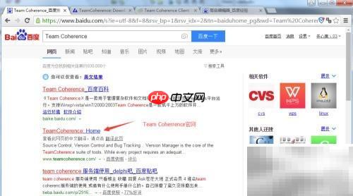 Team Coherence使用指南