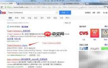 Team Coherence使用指南