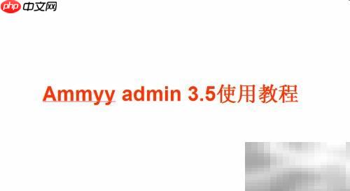 Ammyy Admin 3.5使用指南