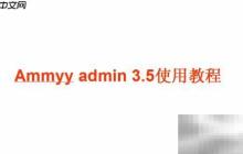 Ammyy Admin 3.5使用指南