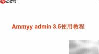 Ammyy Admin 3.5使用指南