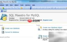 Maestro修改函数名称技巧