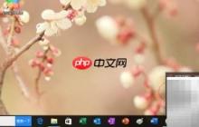 WPS自定义文字方向技巧