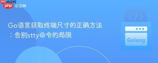 Go语言获取终端尺寸的正确方法：告别stty命令的局限