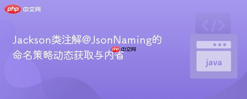 Jackson类注解@JsonNaming的命名策略动态获取与内省