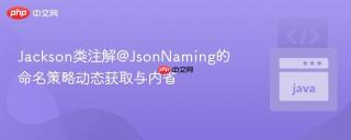 Jackson类注解@JsonNaming的命名策略动态获取与内省