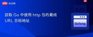 获取 Go 中使用 http 包的最终 URL 目标地址