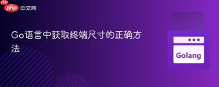 Go语言中获取终端尺寸的正确方法
