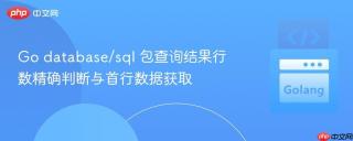 Go database/sql 包查询结果行数精确判断与首行数据获取