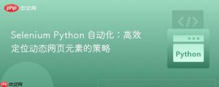Selenium Python 自动化：高效定位动态网页元素的策略