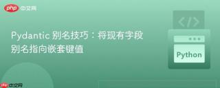 pydantic 别名技巧：将现有字段别名指向嵌套键值