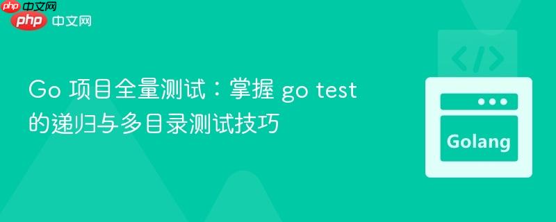 Go 项目全量测试:掌握 go test 的递归与多目录测试技巧