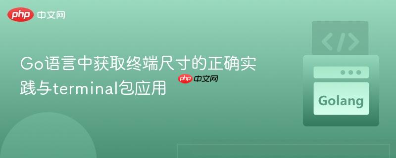 Go语言中获取终端尺寸的正确实践与terminal包应用