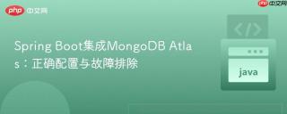 Spring Boot集成MongoDB Atlas：正确配置与故障排除