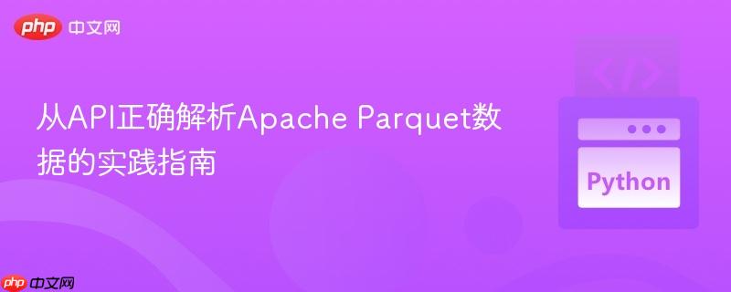 从API正确解析Apache Parquet数据的实践指南