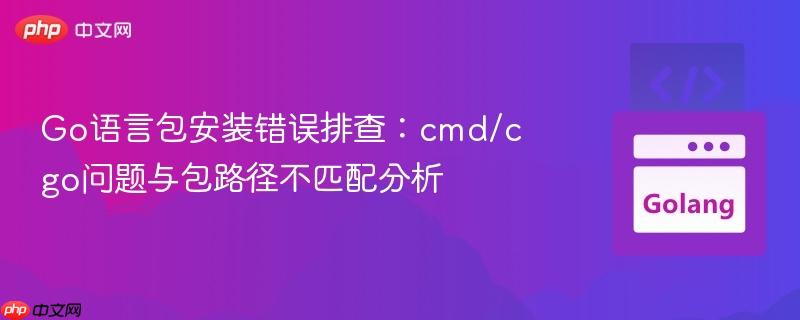 Go语言包安装错误排查:cmd/cgo问题与包路径不匹配分析