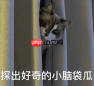OpenAI奥特曼认错：我天生不适合管理公司