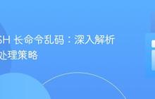 PHP SSH 长命令乱码:深入解析与同步处理策略