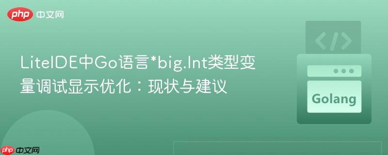 LiteIDE中Go语言*big.Int类型变量调试显示优化:现状与建议