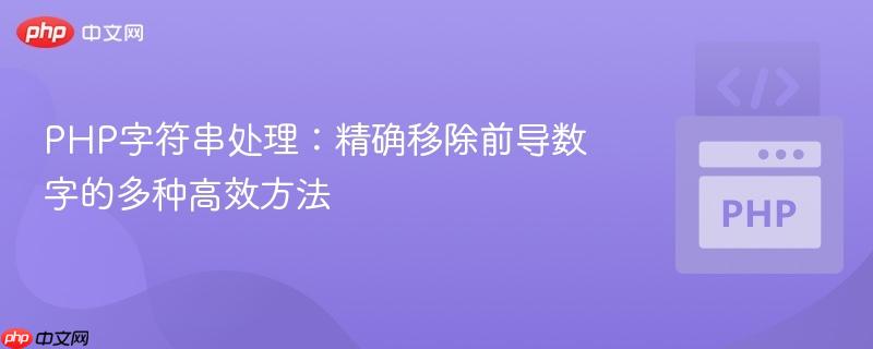 PHP字符串处理：精确移除前导数字的多种高效方法