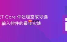 ASP.NET Core 中处理空或可选 HTML 输入控件的最佳实践