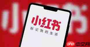 小红书笔记多久推送一次