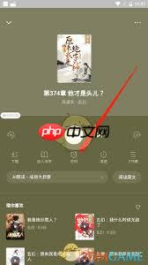 番茄免费小说听书如何设置定时关闭