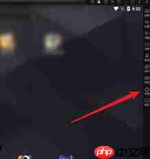 雷电模拟器如何关闭旋转功能