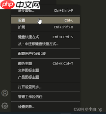 Vscode如何设置额外行格式
