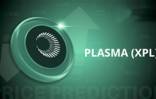 Plasma(XPL)币价格预测2025-2030年 : XPL币能否复制 Tether 的增长路径？