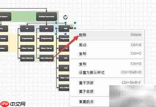绘制模板网络结构图指南