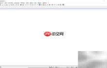 Notepad++设置简体中文方法