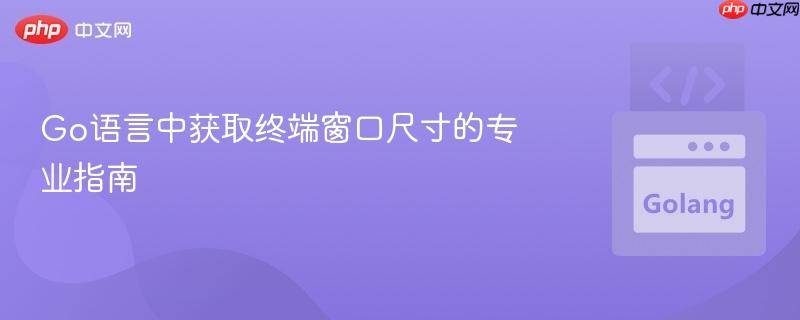 Go语言中获取终端窗口尺寸的专业指南