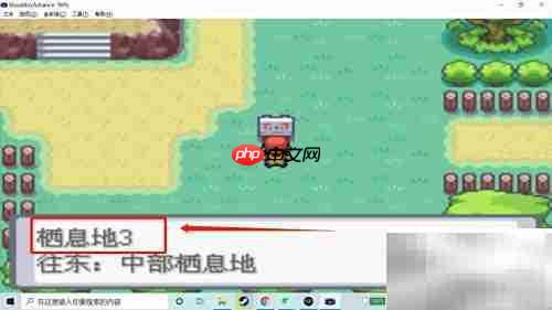 火红版肯泰罗捕捉攻略