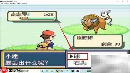 火红版肯泰罗捕捉攻略