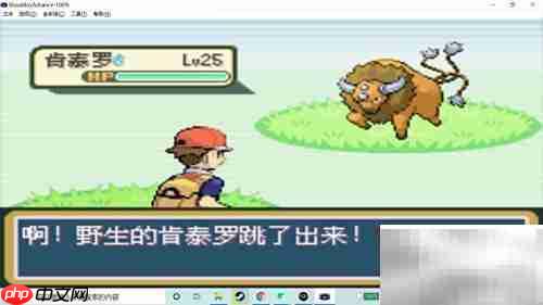 火红版肯泰罗捕捉攻略