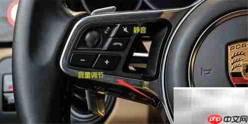 保时捷胎压-0.3如何处理