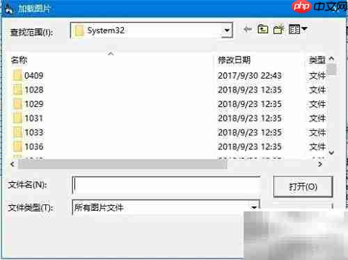 VB添加背景图片方法