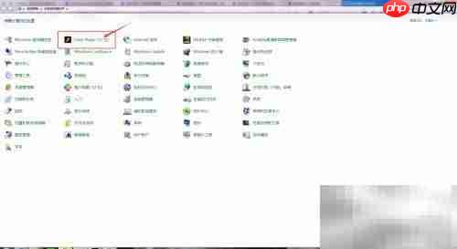 Flash编程工具使用指南