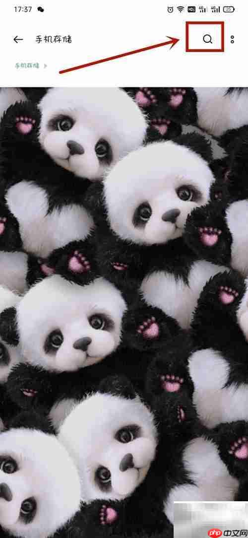 OPPO手机如何打开data文件夹