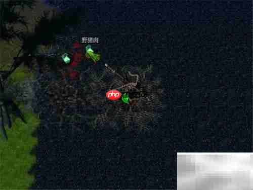 傲斗遮天V2.71开局攻略