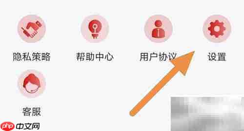 球策查看关于我们指南
