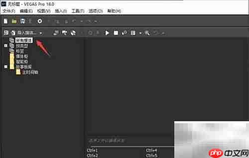VEGAS Pro 3D模式设置教程
