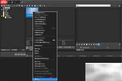VEGAS Pro 3D模式设置教程