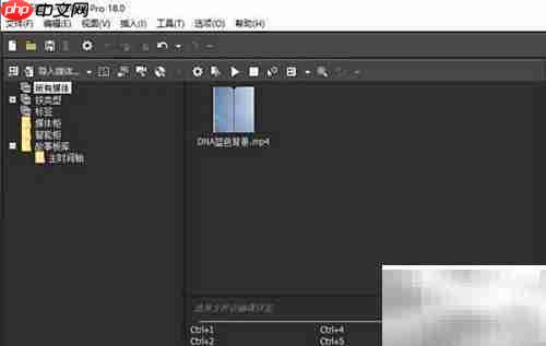 VEGAS Pro 3D模式设置教程