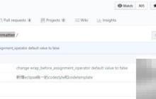 Eclipse代码风格设置指南